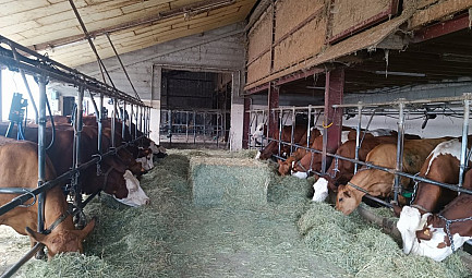 Acteurs Locaux Les deux Savoie – Puygros, au cœur du métier d'éleveur laitier